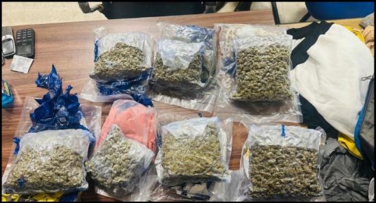 Indian Arrested at BIA with Rs. 51M Worth of Kush